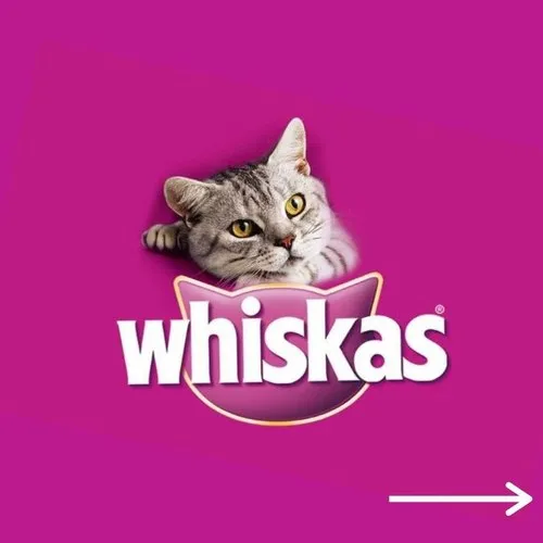 Whiskas