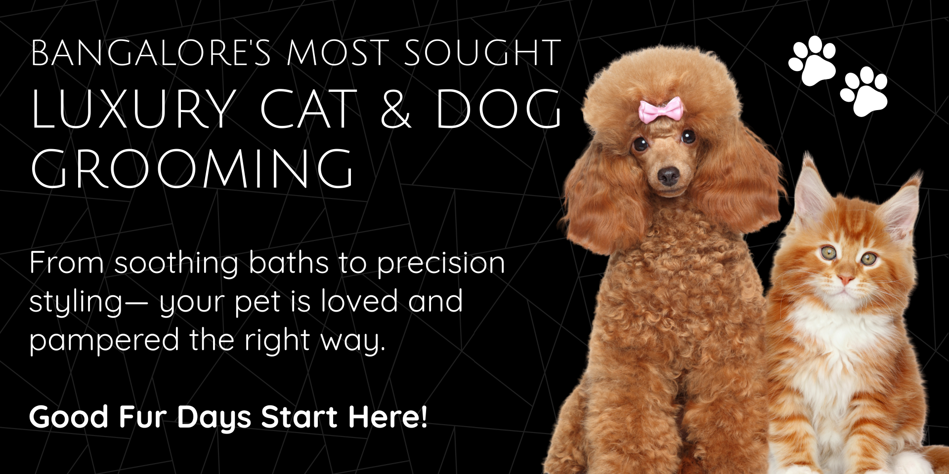 Tug Of Fur - Website - 4