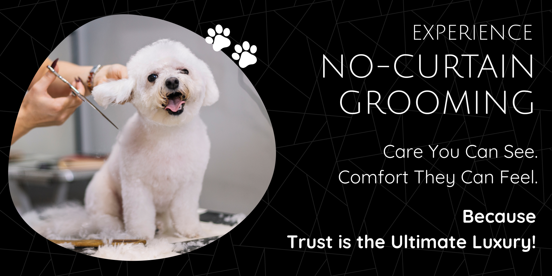 Tug Of Fur - Website - 5