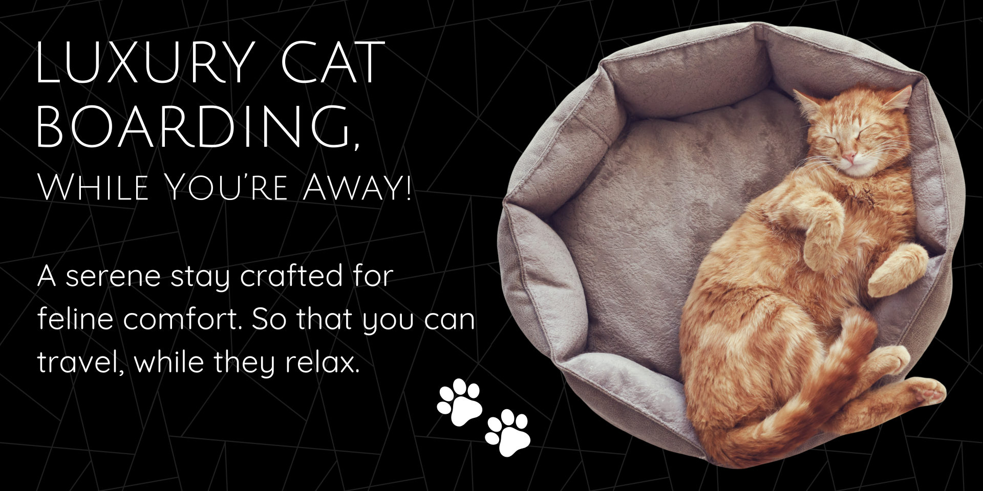 Tug Of Fur - Website - 6