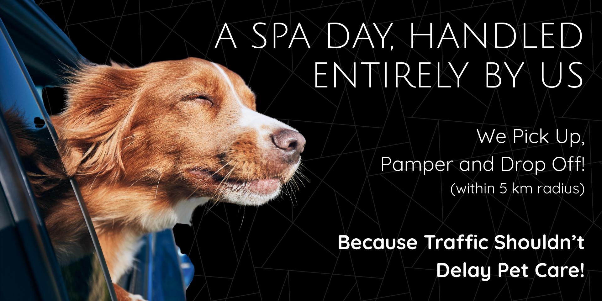 Tug Of Fur - Website - 7